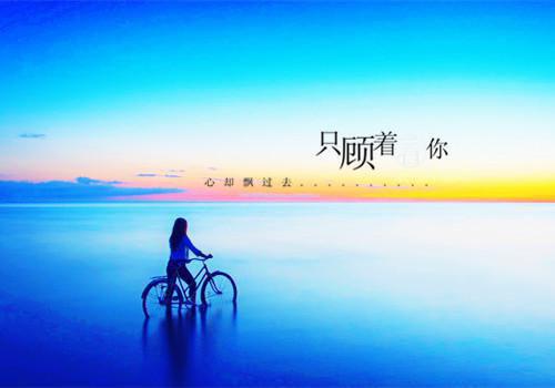 个人行政工作总结范文