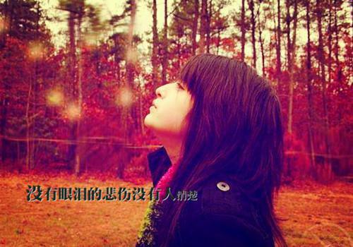 关于春节表扬信