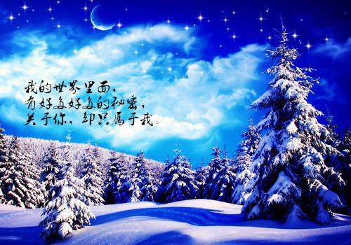 关于上半年乡镇政府工作报告