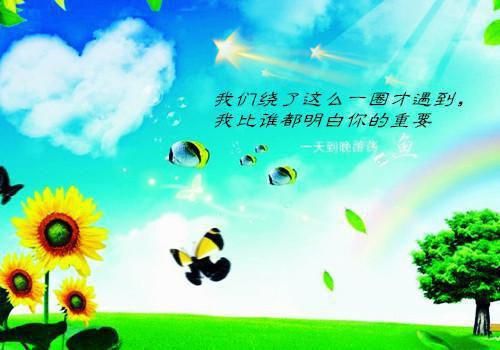 客户服务经理的个人工作报告