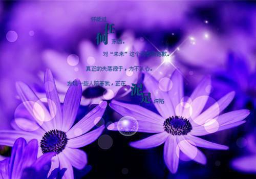 幽默人生感悟语句