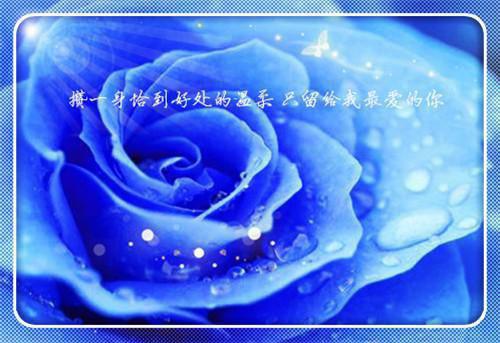 发生意外的道歉信范文