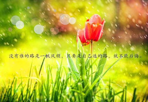 关于幼儿园求职信范文汇编六篇