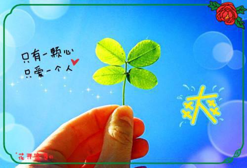 区环境保护局关于脱贫攻坚评估自查报告范文