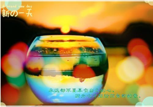 毕业生写好自荐信的三要素