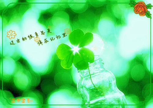 关于工程管理求职信范文集锦五篇