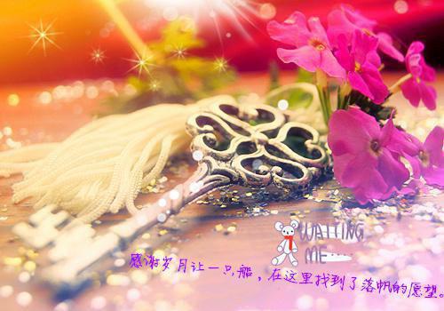 寒假发传单的社会实践报告格式范文