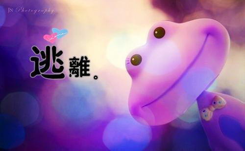 小学教导主任述职工作报告范文