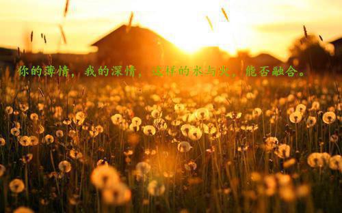 2023年7月大学生暑假社会实践报告