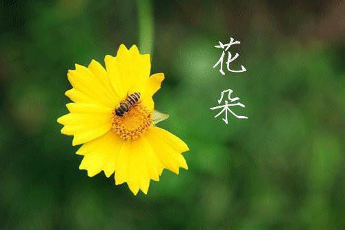 给男朋友的99封情书的空间说说