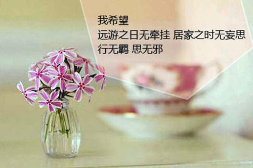 市食品药品监管半年工作报告总结
