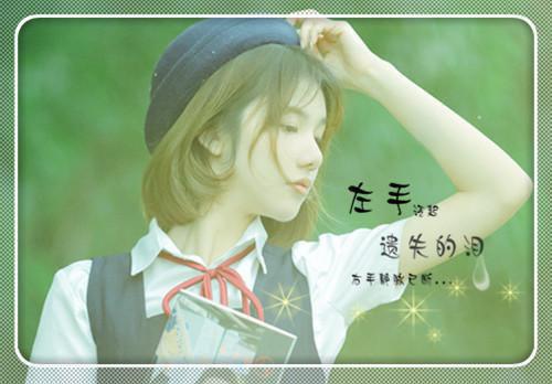大学应届毕业生自荐信合集8篇
