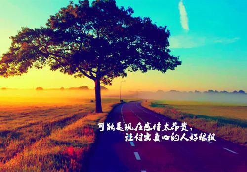 有关资助感谢信集锦4篇