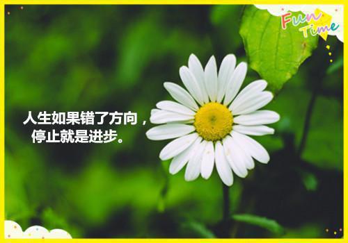 会计专业自荐信600字范文