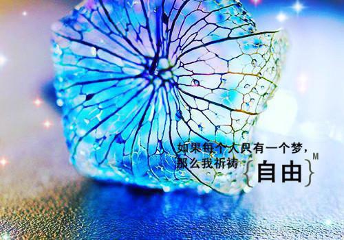 事业单位三严三实对照检查报告