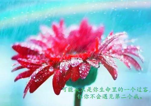 毕业酒会邀请函范文