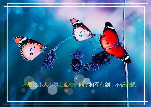 行政关系介绍信模板4篇