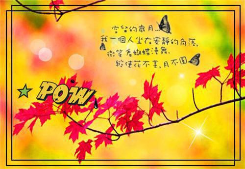 QQ空间爱情说说大全