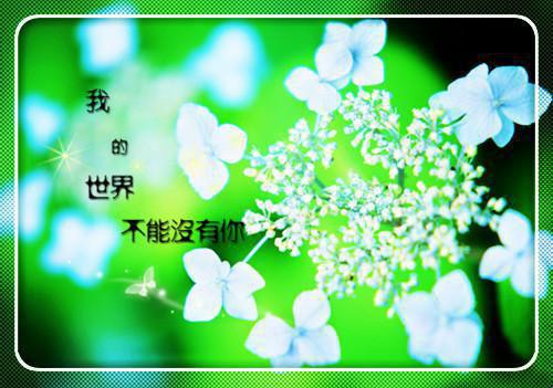 19个经典自荐信结束语