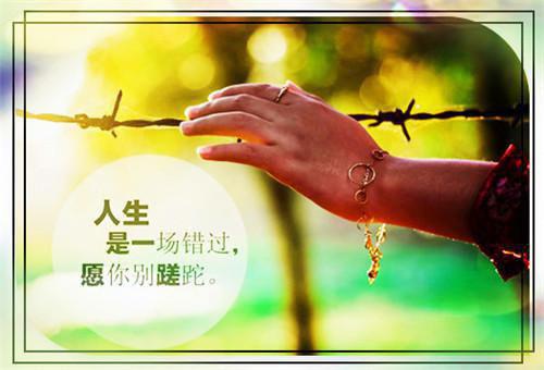 【精品】大学生自荐信模板3篇