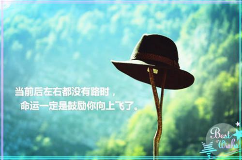 关于医院护士求职信范文集锦8篇