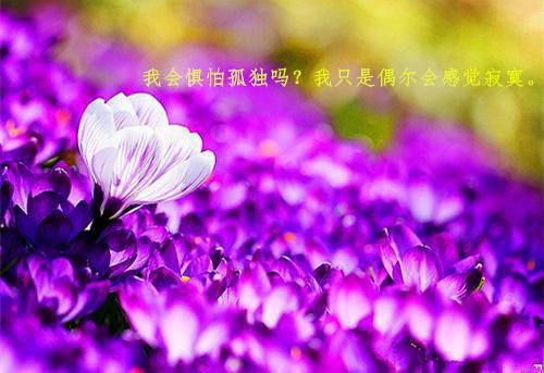 关于困难的激励向上小故事