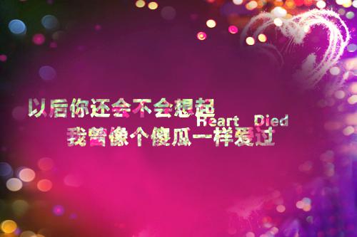 社会保险基金管理情况_自查报告
