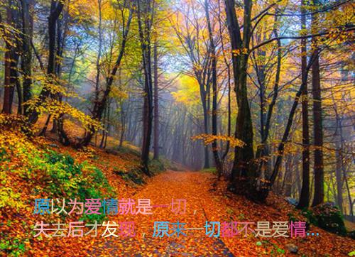 关于汽车专业的自荐信锦集6篇