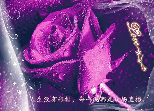 给合作方的感谢信