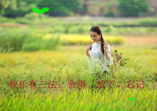 2023年4月大学生行政助理社会实践报告