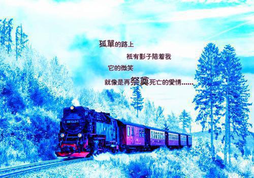 调档函介绍信模板