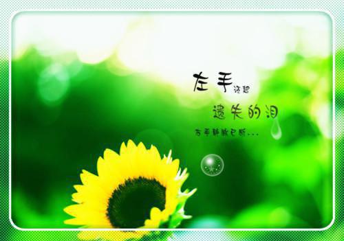 致消防队慰问信