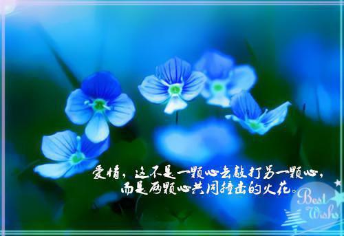 装饰设计专业毕业生自荐信