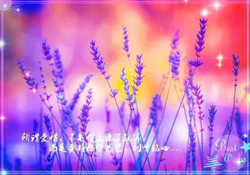 公司三八节慰问信格式