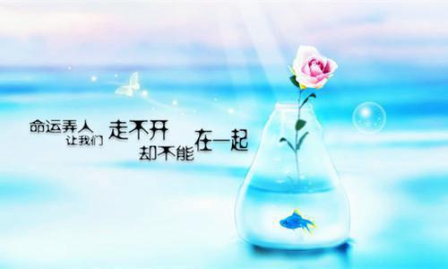 学校小金库自查报告范文2023