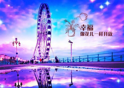 有关“双高普九”工作的自查报告