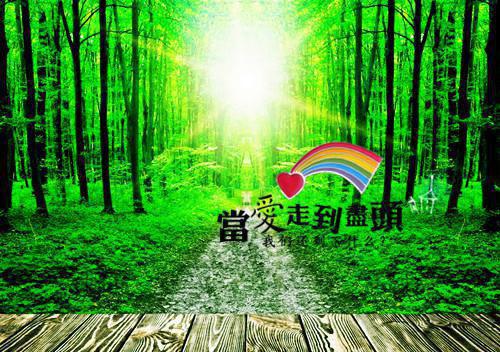 2023年7月大学生三下乡社会实践报告范文1
