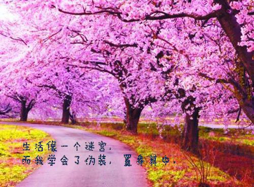 新章速递唐浅时湛小说小说结尾阅读无广告（你就仗着我宠你）