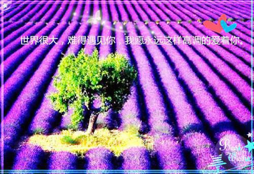 早上正能量的句子