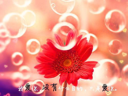 【热门】会计专业求职信范文十篇