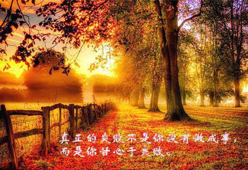 让人心碎的伤感签名 很冷淡的难过签名大全