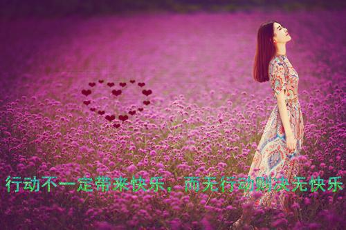 vip客户感谢信