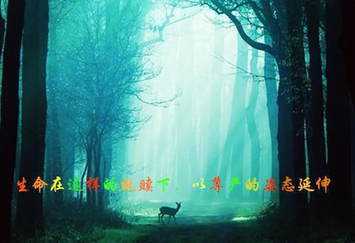 亲情的至理名言