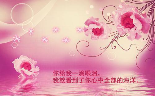 服务员暑假实践总结报告