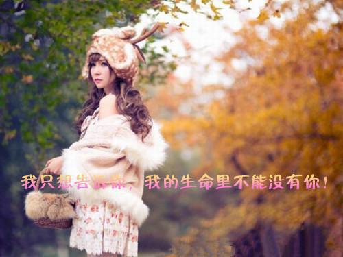 最感人情书范文