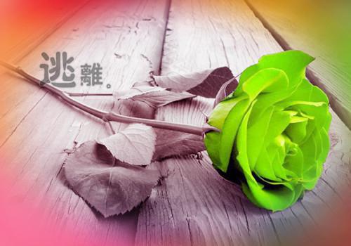 中小学教师师德师风自检自查报告