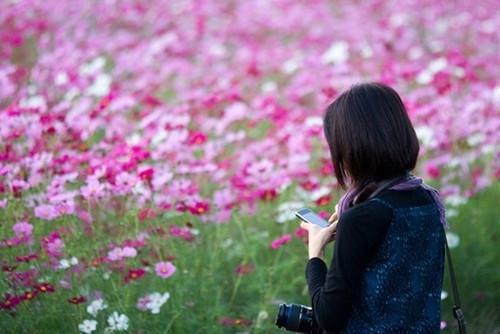 爱情犹如断层的石梯
