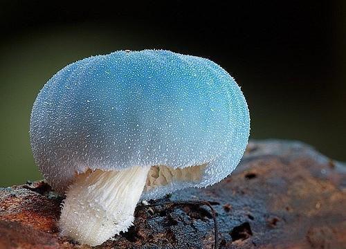 童话故事推荐
