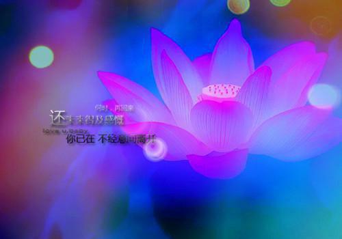 医生进修介绍信 | 请查收