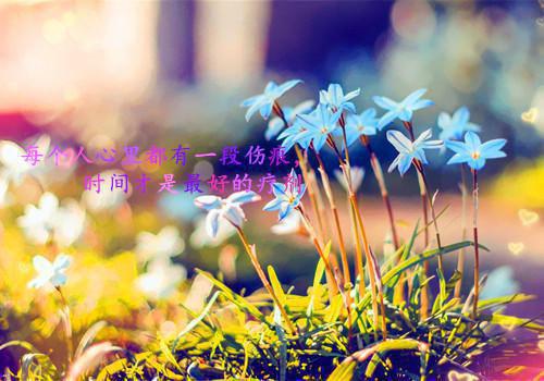 乡镇落实应对法自查报告范文